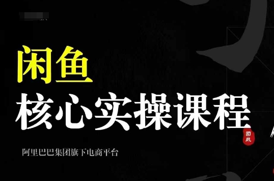 2024闲鱼核心实操课程，从养号、选品、发布、销售，教你做一个出单的闲鱼号-云网创