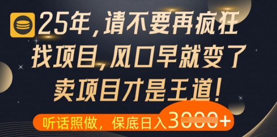 什么？25年你还在疯狂找项目做，醒醒吧，看完这些你全都懂了【揭秘】-云网创