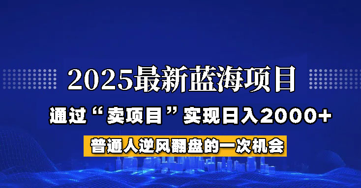 2025年蓝海项目，如何通过“网创项目”日入2000+-云网创