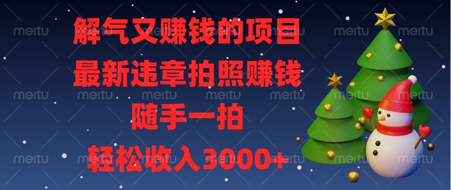 解气又赚钱的项目，最新违章拍照赚钱，随手一拍，轻松收入3000+-云网创