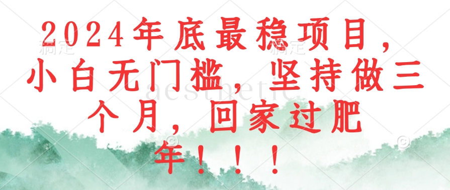 2024年底最稳项目，小白无门槛，坚持做三个月，回家过肥年！！！-云网创