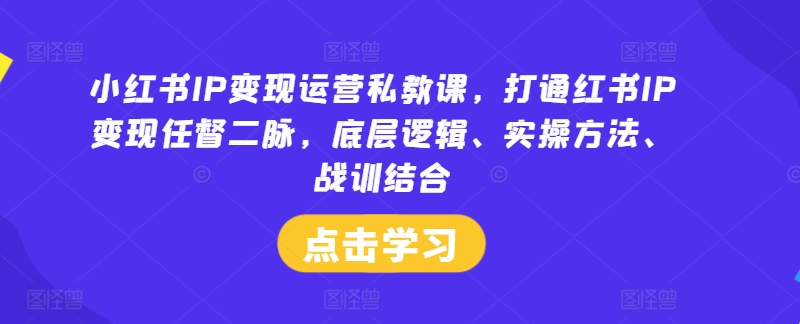 小红书IP变现运营私教课，打通红书IP变现任督二脉，底层逻辑、实操方法、战训结合-云网创