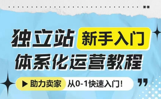 独立站新手入门体系化运营教程，助力独立站卖家从0-1快速入门!-云网创