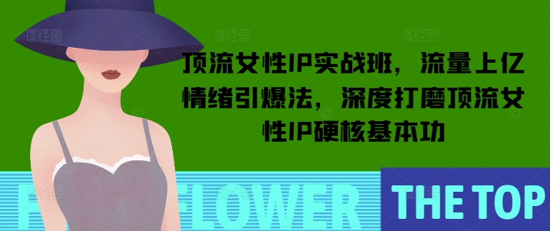 顶流女性IP实战班，流量上亿情绪引爆法，深度打磨顶流女性IP硬核基本功-云网创