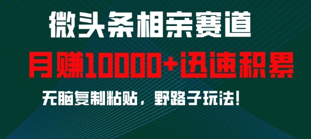 微头条相亲赛道，迅速积累，无脑复制粘贴，野路子玩法，月入1w-云网创