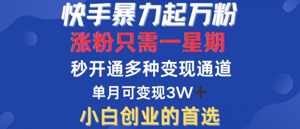 快手暴力起万粉，涨粉只需一星期，多种变现模式，直接秒开万合，单月变现过W【揭秘】-云网创