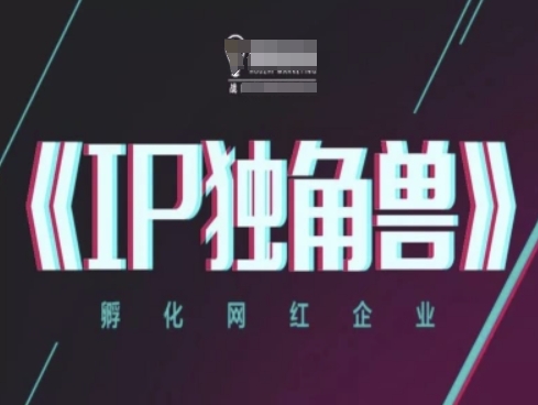 IP独角兽，孵化网红企业，ip教程-云网创