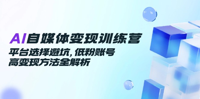 AI自媒体变现训练营，平台选择避坑，低粉账号高变现方法全解析-云网创