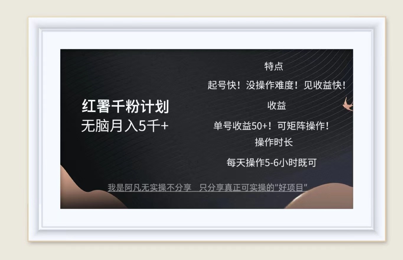 红薯千粉计划无脑月入5千+！既做既赚！-云网创