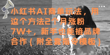 小红书AI商单玩法，用这个方法2个月涨粉7W+，新手也能接品牌合作(附全套指令模板)-云网创
