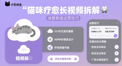猫咪疗愈长视频拆解 &油管频道运营技巧-云网创
