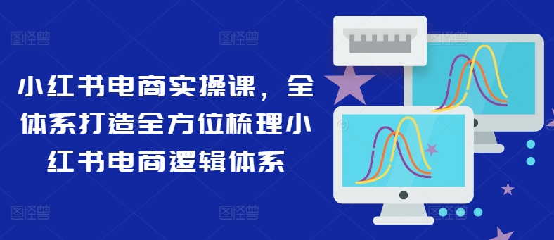 小红书电商实操课，全体系打造全方位梳理小红书电商逻辑体系-云网创