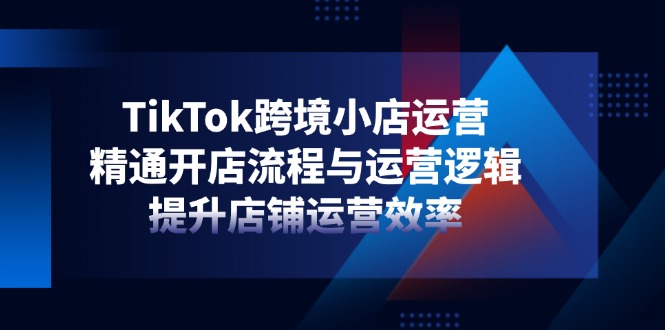 TikTok跨境小店运营，精通开店流程与运营逻辑，提升店铺运营效率-云网创