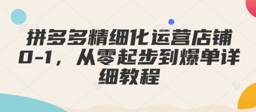 拼多多精细化运营店铺0-1，从零起步到爆单详细教程-云网创