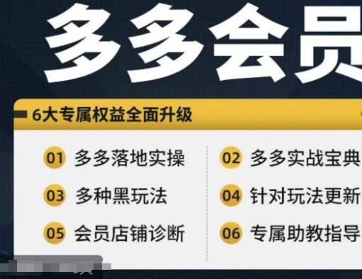 拼多多会员，拼多多实战宝典+实战落地实操，从新手到高阶内容全面覆盖-云网创