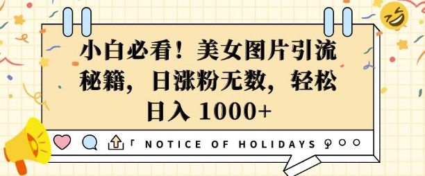 小白必看，美女图片引流秘籍，日涨粉无数，轻松日入几张【揭秘】-云网创