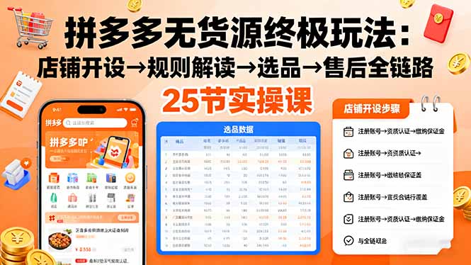 拼多多无货源终极玩法：店铺开设→规则解读→选品→售后全链路,25节实操课-云网创