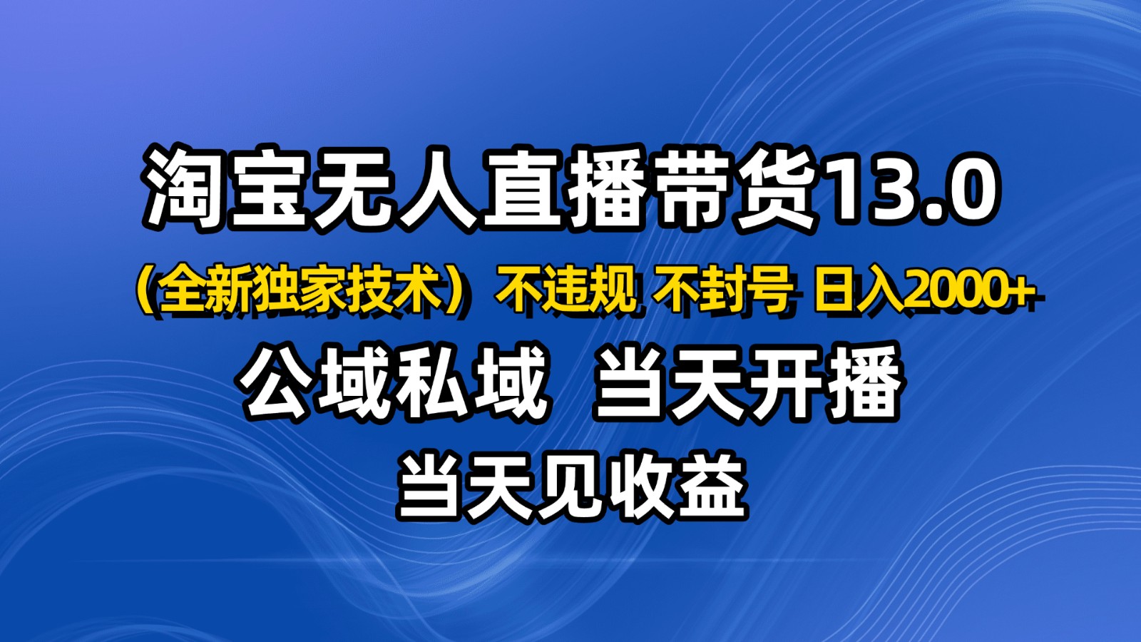 淘宝无人直播13.0，公域私域技术，不封号，不违规 布局下半年旺季赛道，日入2000+-云网创