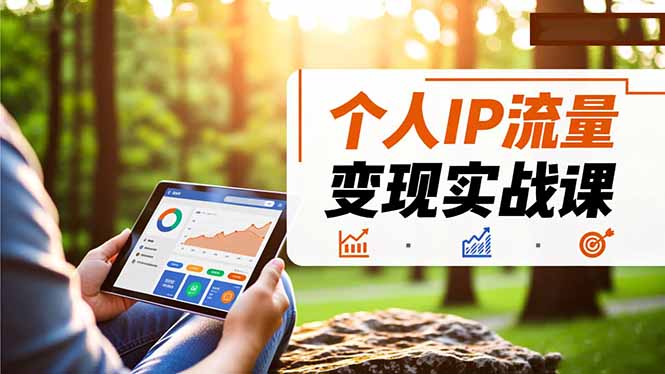 个人IP流量变现实战课，涵盖多平台引流、打造个人IP并实现稳定流量变现-云网创