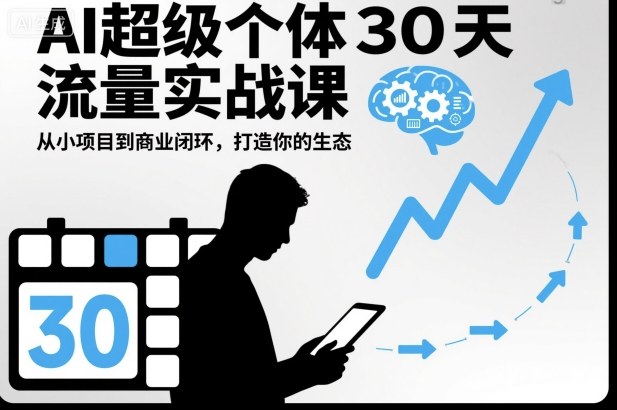 AI超级个体30天流量实战课，从小项目到商业闭环，打造你的生态-云网创