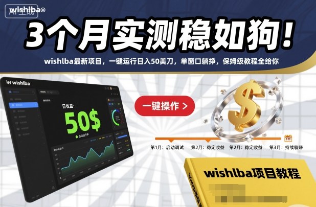 3个月实测稳如狗！wishlba最新项目，一键运行日入50美刀，单窗口躺挣，保姆级教程全给你【揭秘】-云网创