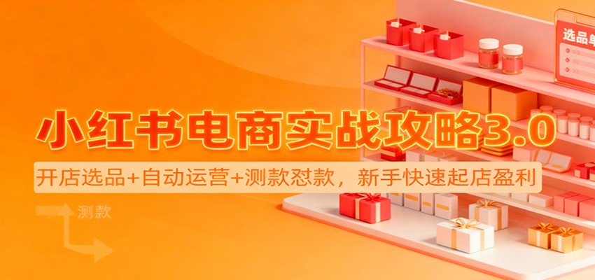 小红书电商实战攻略3.0：开店选品+自动运营+测款怼款，新手快速起店盈利-云网创