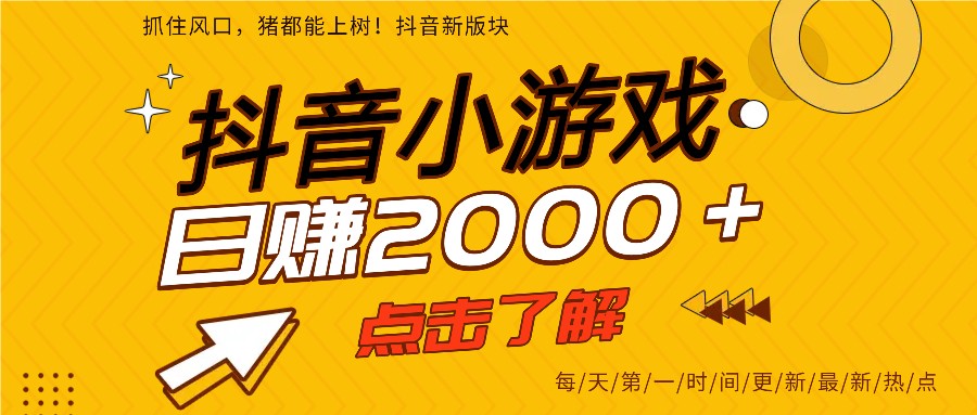 5年爆火的抖音小游戏项目，一部手机日入2000+-云网创