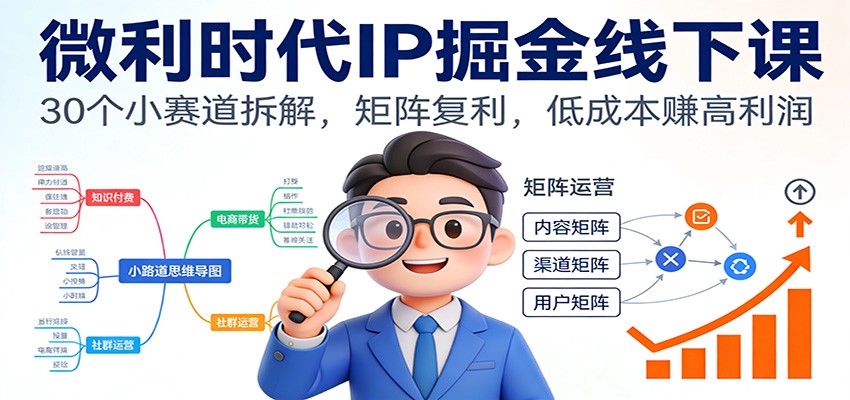 微利时代IP掘金线下课：30个小赛道拆解，矩阵复利，低成本赚高利润-云网创