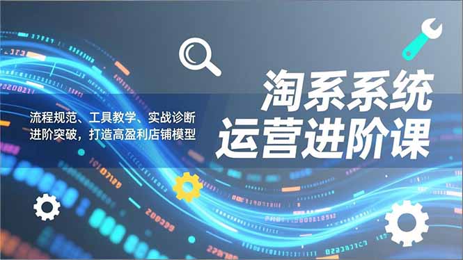 淘系系统运营进阶课2.0，流程规范、工具教学、实战诊断，进阶突破，打造高盈利店铺模型-云网创