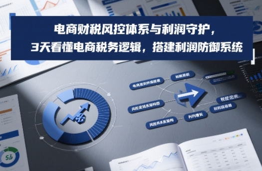 电商财税风控体系与利润守护，3天看懂电商税务逻辑，搭建利润防御系统-云网创