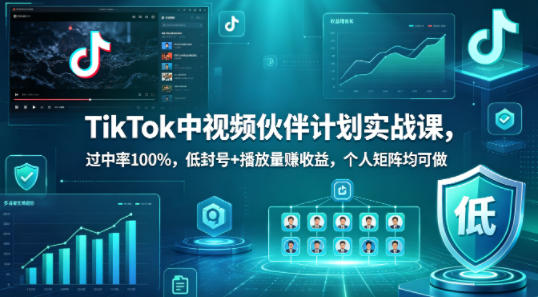 TikTok中视频伙伴计划实战课，过中率100%，低封号+播放量賺收益，个人矩阵均可做-云网创