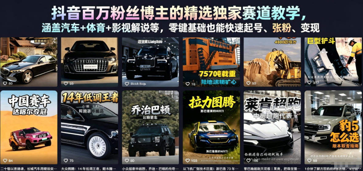 抖音百万粉丝博主的精选独家赛道教学，涵盖汽车+体育+影视解说等，零基础也能快速起号、涨粉、变现(更新0701)-云网创