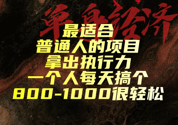 最适合普通人的项目，拿出执行力一个人每天搞个800-1k很轻松【揭秘】-云网创
