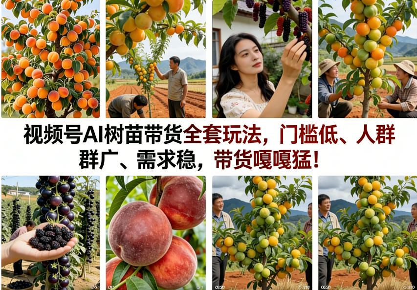 视频号AI树苗带货全套玩法，门槛低、人群广、需求稳，带货嘎嘎猛！(更新0908)-云网创