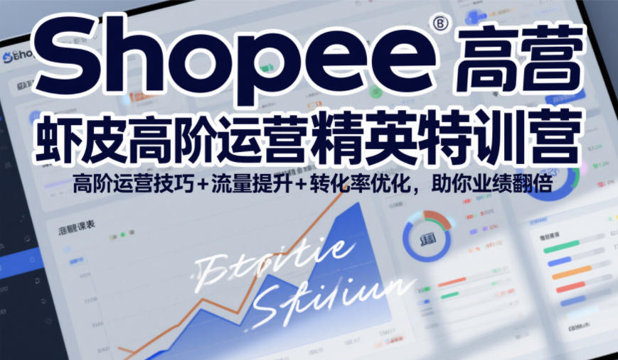 Shopee虾皮高阶运营精英特训营，高阶运营技巧+流量提升+转化率优化，助你业绩翻倍(更新26年9月)-云网创