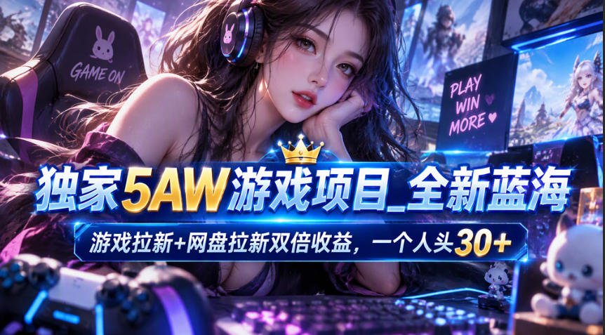 独家5AW游戏蓝海项目_游戏拉新+网盘拉新双倍收益，拉新一个30米-云网创