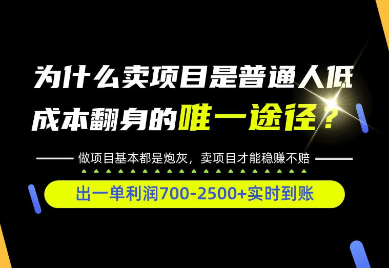 普通人如何靠互联网賺取自己的第一桶金！全类目实操型教学，看完你全都懂了！【揭秘】-云网创