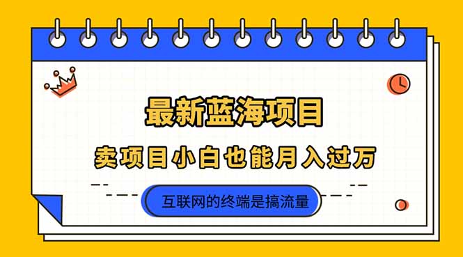 2025年最新蓝海项目，卖项目小白也能月入过万-云网创
