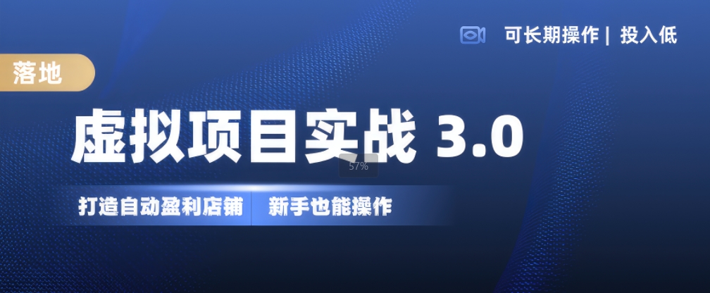 虚拟项目实战3.0，打造自动盈利店铺，可长期操作投入低，新手也能操作-云网创
