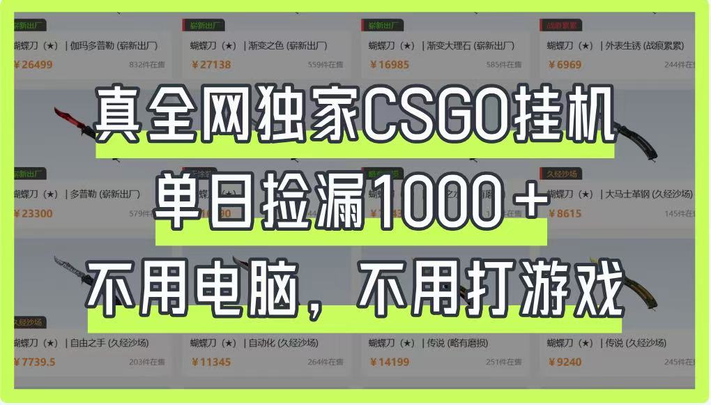真全网独家CSGO挂机，单日捡漏1000+，不用电脑，不用养号-云网创