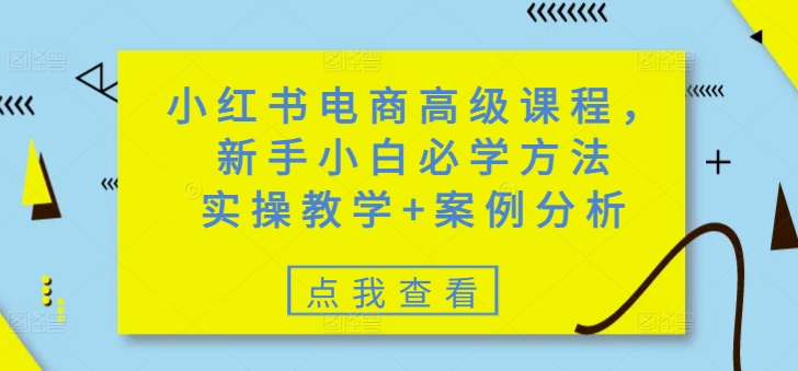 小红书电商高级课程，新手小白必学方法，实操教学+案例分析-云网创
