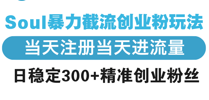 Soul暴力截流创业粉玩法，当天注册当天进流量，日稳定300+精准创业粉丝-云网创