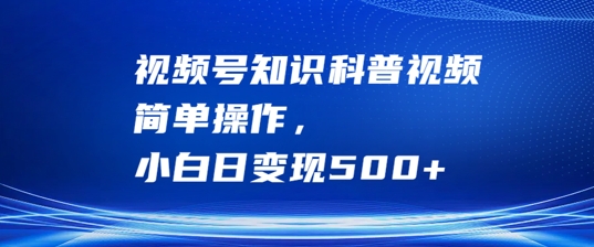 视频号知识科普视频，简单操作，小白日变现500+【揭秘】-云网创