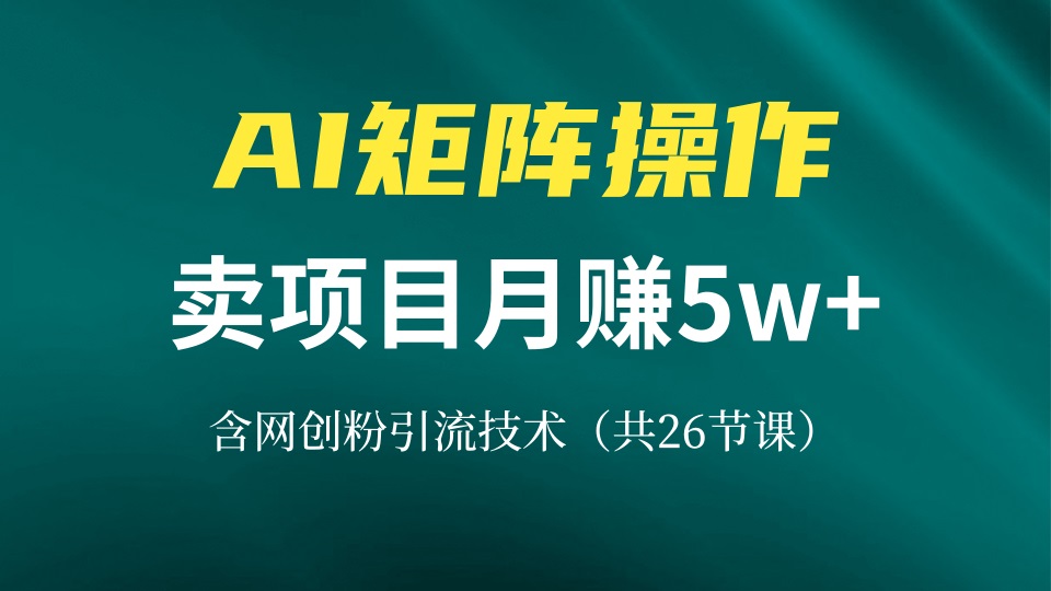 网创IP打造课，借助AI卖项目月赚5万+，含引流技术(共26节课-云网创