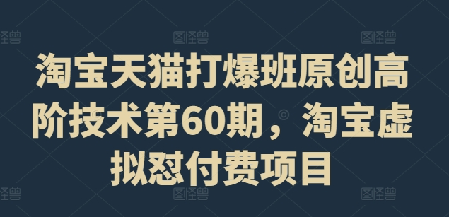 淘宝天猫打爆班原创高阶技术第60期，淘宝虚拟怼付费项目-云网创