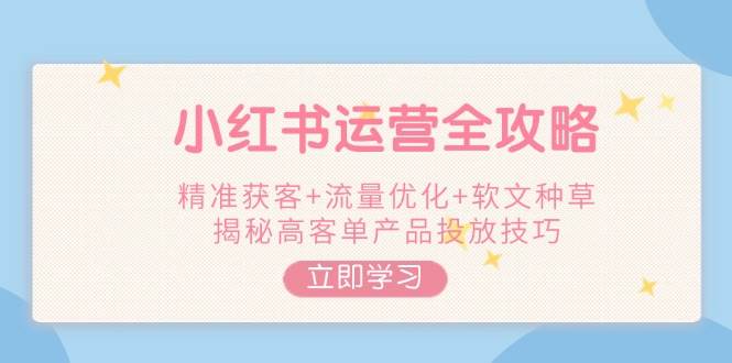 小红书运营全攻略，精准获客+流量优化+软文种草，揭秘高客单产品投放技巧-云网创