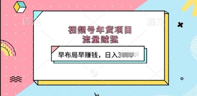 视频号年货项目，流量贼猛，早布局早挣钱，日入上k【揭秘】-云网创