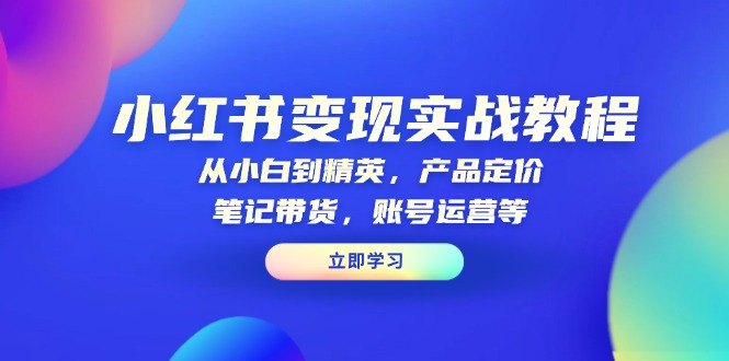 小红书变现实战教程：从小白到精英，产品定价，笔记带货，账号运营等-云网创