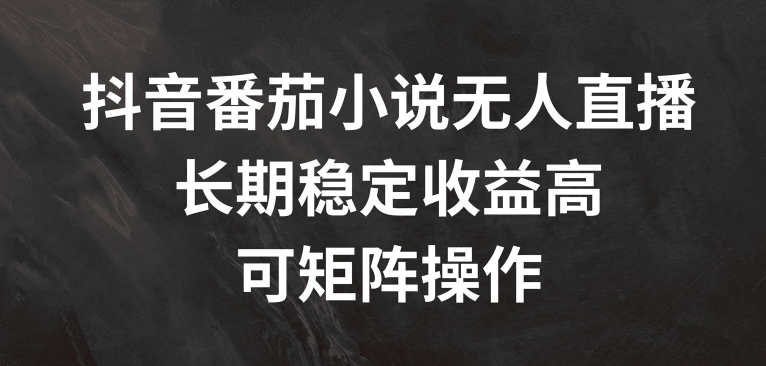 抖音番茄小说无人直播，长期稳定收益高，可矩阵操作【揭秘】-云网创