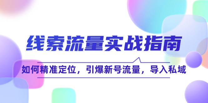 线 索 流 量-实战指南：如何精准定位，引爆新号流量，导入私域-云网创